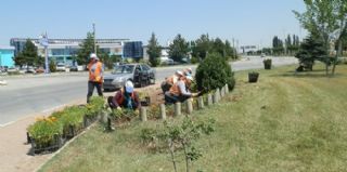 Belediye Beyşehir'i Güzelleştirmek İçin Çalışıyor