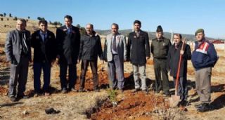 Beyşehir'de 15 Temmuz Şehitler Ormanı