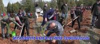 Şehit Ve Gazilerimiz Anısına Orman Fidanları Toprakla Buluşturuldu