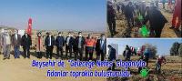 Beyşehir'de ağaçlandırma seferberliği