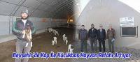 Beyşehir’de Kop İle Küçükbaş Hayvan Refahı Artıyor