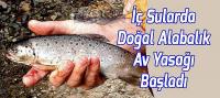 İç Sularda Doğal Alabalık Av Yasağı Başladı
