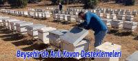 Beyşehir’de Arılı Kovan Desteklemeleri