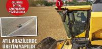 Atıl Arazilerde Üretim Yapıldı, Geliriyle İhtiyaç Sahiplerinin Yüzü Gülecek
