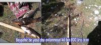Beyşehir'de yasa dışı avlanmaya 46 bin 800 lira ceza