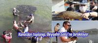 BSA Kanalından topladıkları balıkları Beyşehir Gölü'ne bırakıyorlar