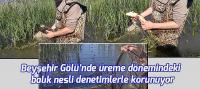 Beyşehir Gölü’nde üreme dönemindeki balık nesli denetimlerle korunuyor