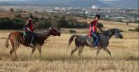 Atlı Dayanıklılık Yarışları ile Beyşehir’de Tarih Yeniden Canlandı