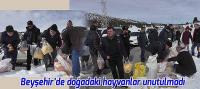 Beyşehir'de ağır kış şartlarında doğadaki hayvanlar unutulmadı