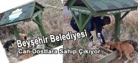 Beyşehir Belediyesi, Can Dostlara Sahip Çıkıyor