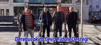 Derebucak'ta Vatandaşlara Ceviz Fidanı Desteği