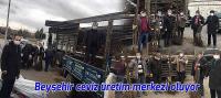 Beyşehir ceviz üretim merkezi oluyor