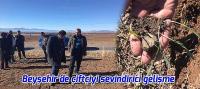 Beyşehir’de çiftçiyi sevindirici gelişme