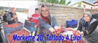 Markette 20, Tarlada 4 Lira!