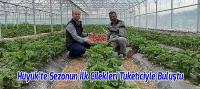 Sezonun İlk Hasat Ürünü Çilekler Tüketiciyle Buluştu