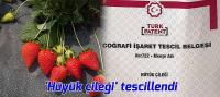 'Hüyük çileği' coğrafi işaret tescil belgesi aldı