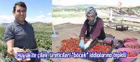 Hüyük’te çilek  üreticileri “böcek” iddialarına tepkili
