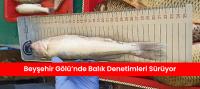 Denetimler Aralıksız Sürüyor