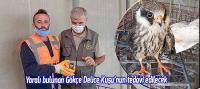 Yaralı Gökçe Delice Kuşu tedavi edilecek