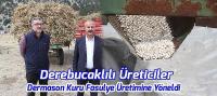 Derebucak'ta Üreticiler Dermason Kuru Fasulye Üretimine Yöneldi