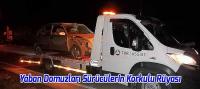 Karayoluna Çıkan Yaban Domuzları Sürücülerin Korkulu Rüyası