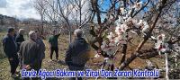 Beyşehir'de Ceviz Ağacı Bakımı ve Zirai Don Zararı Kontrolü