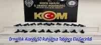 Beyşehir'de Ormanlık Alanda Saklanan 50 Ruhsatsız Tabanca Ele Geçirildi