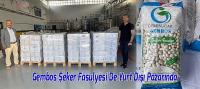 Gembos Şeker Fasulyesi De Yurt Dışı Pazarında