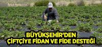 Büyükşehir’den Çiftçiye Fidan ve Fide Desteği