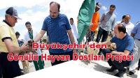 Büyükşehir’den Gönüllü Hayvan Dostları Projesi
