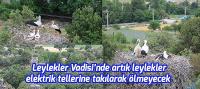 Leylekler Vadisi’nde artık leylekler elektrik tellerine takılarak ölmeyecek