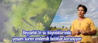 Beyşehir’in su kaynaklarında yaşam süren endemik balıklar korunuyor