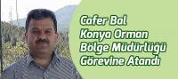 Cafer Bal, Konya Orman Bölge Müdürlüğü Görevine Atandı