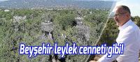 Beyşehir leylek cenneti gibi!