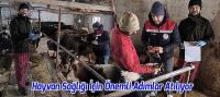 Beyşehir'de Hayvan Sağlığı İçin Önemli Adımlar Atılıyor