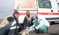 Sevgi ve Merhamet Şehri Konya’da Hayvanlar İçin Acil Müdahale Ekibi