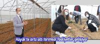 Hüyük’te örtü altı tarımsal faaliyetler gelişiyor