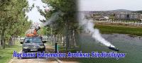 Beyşehir Belediyesi İlaçlama Çalışmaları Aralıksız Sürdürülüyor