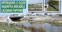 Büyükşehir 31 İlçede Haşereyle Mücadele Çalışması Yapıyor