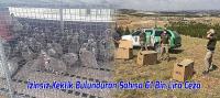 İzinsiz Keklik Bulunduran Şahısa 61 Bin Lira Ceza