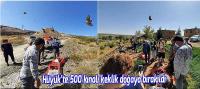 Hüyük'de 500 kınalı keklik doğaya salındı