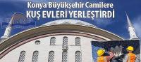 Konya Büyükşehir Camilere Kuş Evleri Yerleştirdi