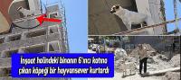 İnşaatta mahsur kalan köpeği, hayvansever kurtardı