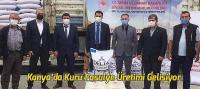 Konya’da kuru fasulye üretimi gelişiyor