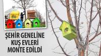 Şehir Geneline Kuş Evleri Monte Edildi