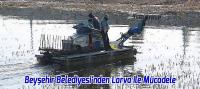 Beyşehir Belediyesi’nden Larva ile Mücadele