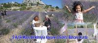 9 Aylık Maaş Birikimiyle Eşiyle Birlikte Köyüne Lavanta Bahçesi Kurdu