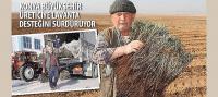Konya Büyükşehir Üreticiye Lavanta Desteğini Sürdürüyor