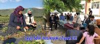 Leyla Şahin Usta Hüyük’ü Ziyaret Etti