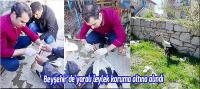 Beyşehir’de yaralı leylek koruma altına alındı